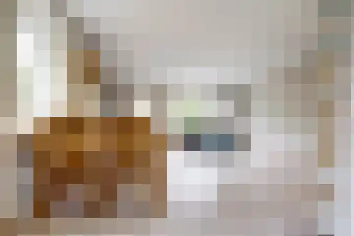 Agnes Bartoutslaan 18 Hendrik-Ido-Ambacht thumbnail 11