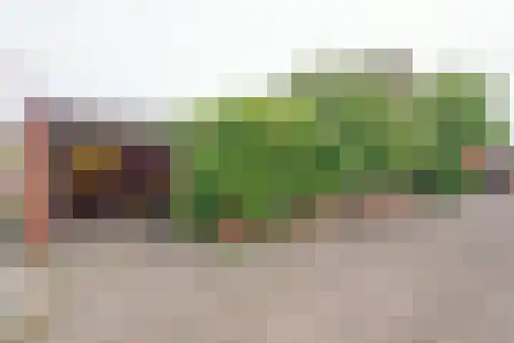 Agnes Bartoutslaan 18 Hendrik-Ido-Ambacht thumbnail 14