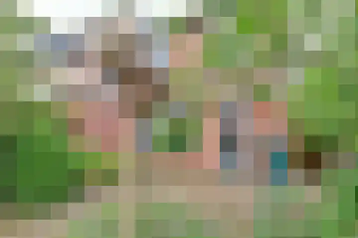Agnes Bartoutslaan 18 Hendrik-Ido-Ambacht thumbnail 15