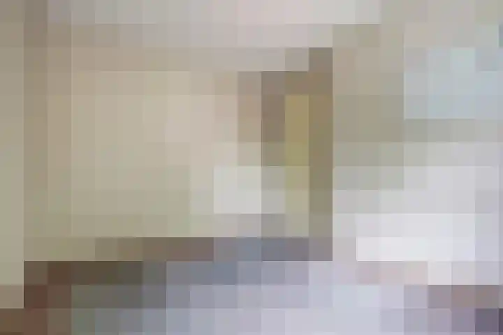 Agnes Bartoutslaan 18 Hendrik-Ido-Ambacht thumbnail 19