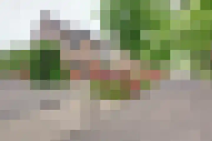 Agnes Bartoutslaan 18 Hendrik-Ido-Ambacht thumbnail 29
