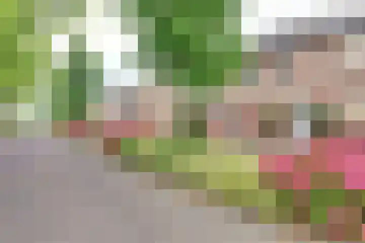 Agnes Bartoutslaan 18 Hendrik-Ido-Ambacht thumbnail 30