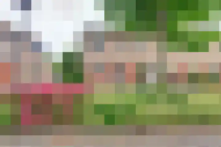 Agnes Bartoutslaan 18 Hendrik-Ido-Ambacht thumbnail 31