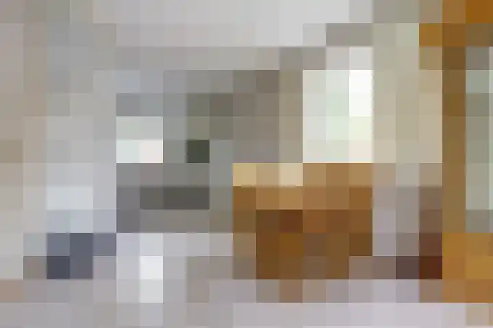 Agnes Bartoutslaan 18 Hendrik-Ido-Ambacht thumbnail 6