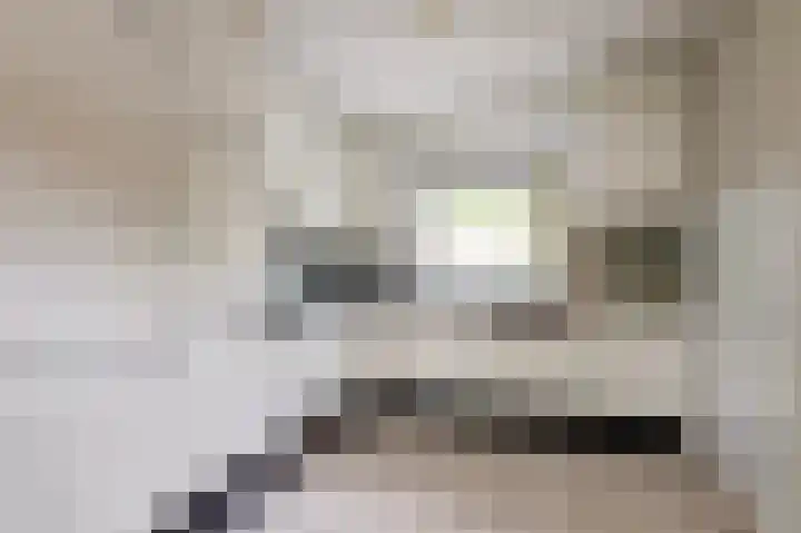 Agnes Bartoutslaan 18 Hendrik-Ido-Ambacht thumbnail 8