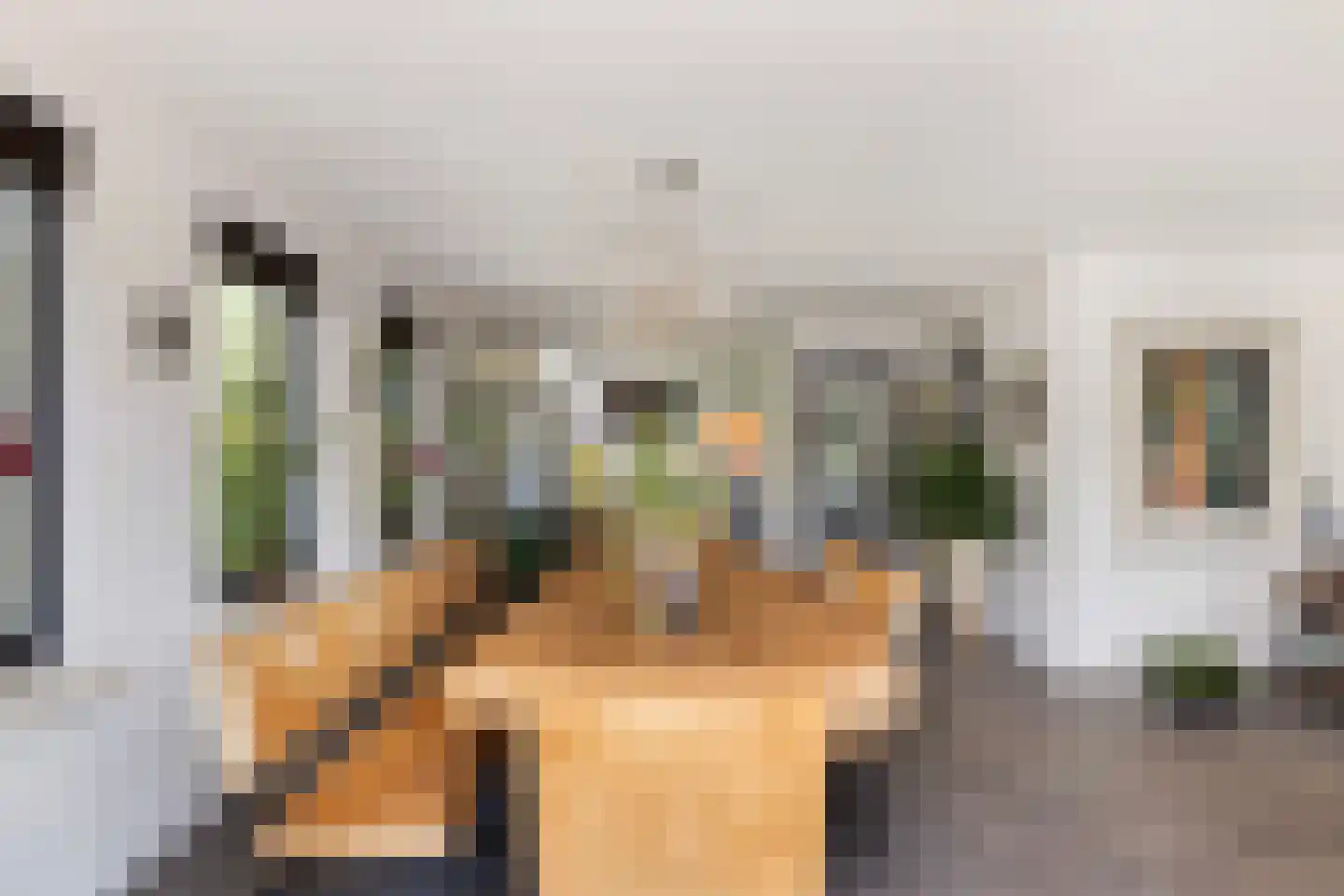 Agnes Bartoutslaan 55 Hendrik-Ido-Ambacht thumbnail 12