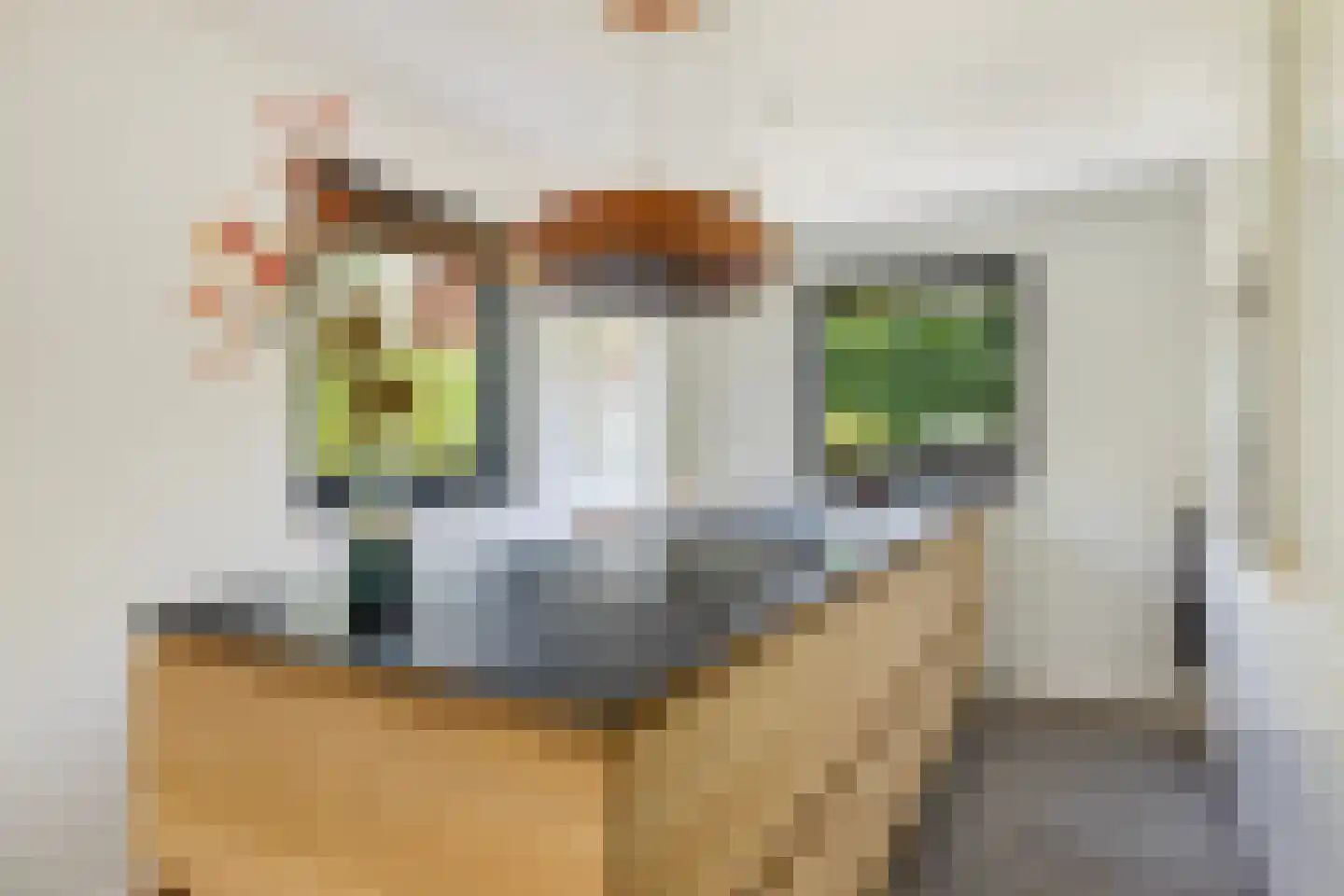 Agnes Bartoutslaan 55 Hendrik-Ido-Ambacht thumbnail 17