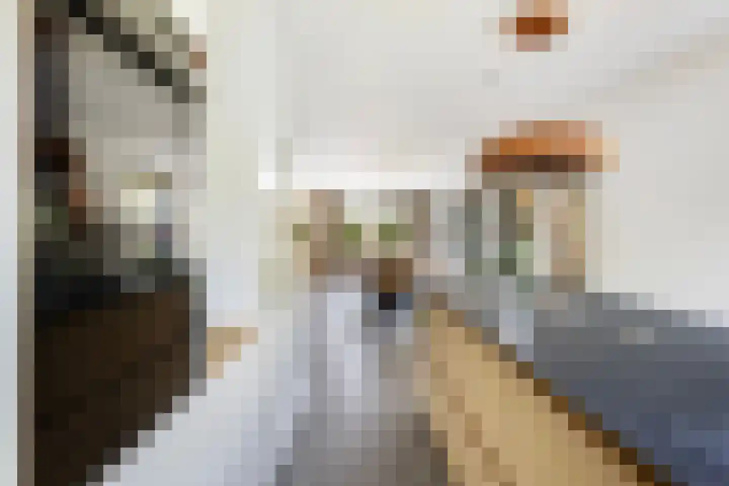 Agnes Bartoutslaan 55 Hendrik-Ido-Ambacht thumbnail 24