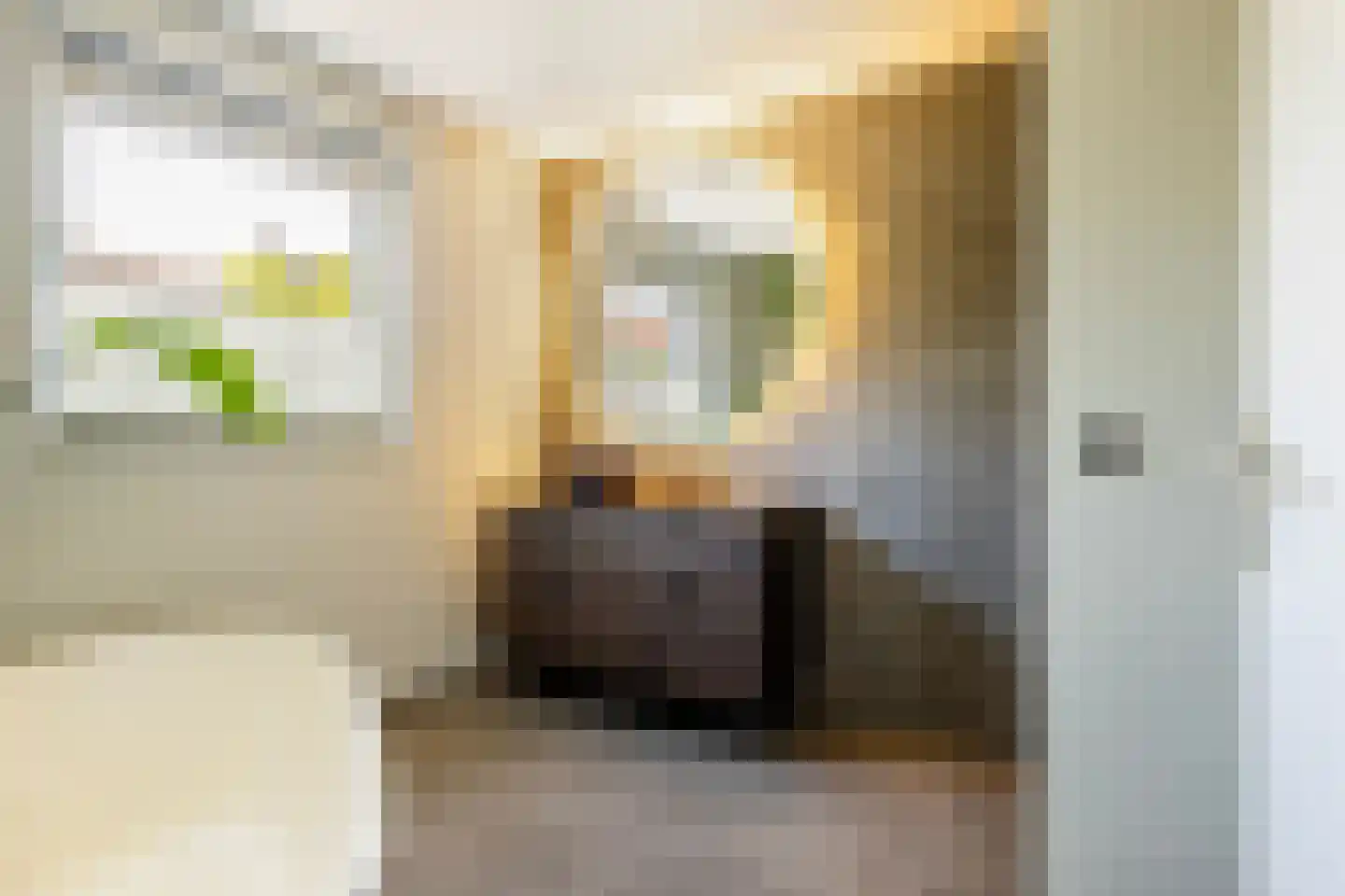 Agnes Bartoutslaan 55 Hendrik-Ido-Ambacht thumbnail 28