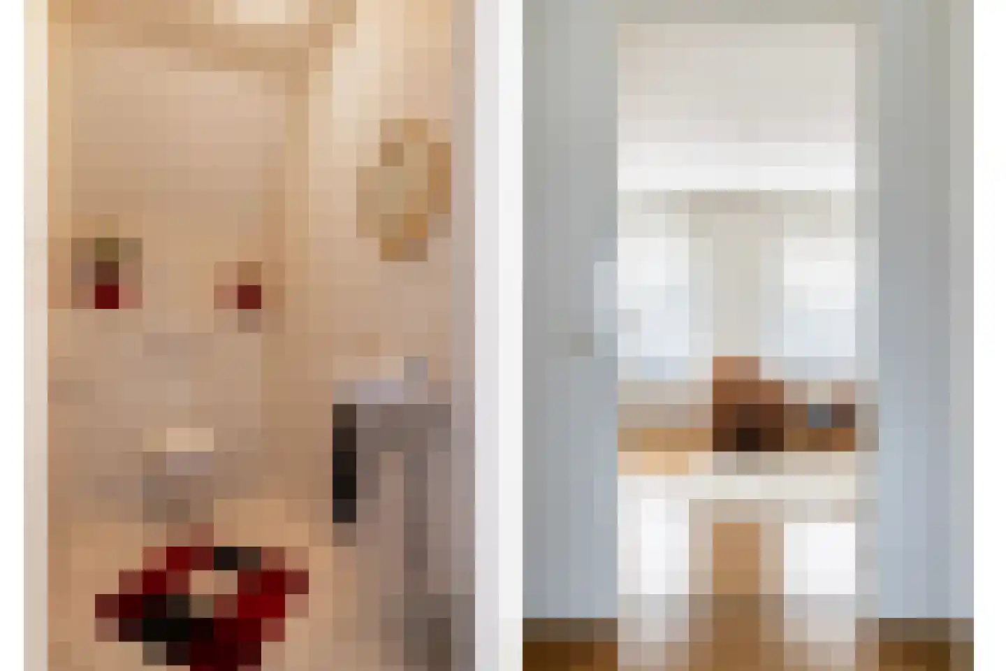 Agnes Bartoutslaan 55 Hendrik-Ido-Ambacht thumbnail 38