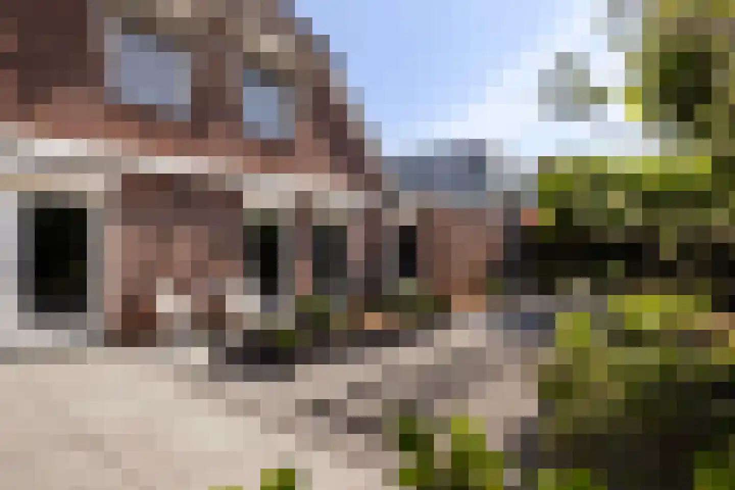 Agnes Bartoutslaan 55 Hendrik-Ido-Ambacht thumbnail 45