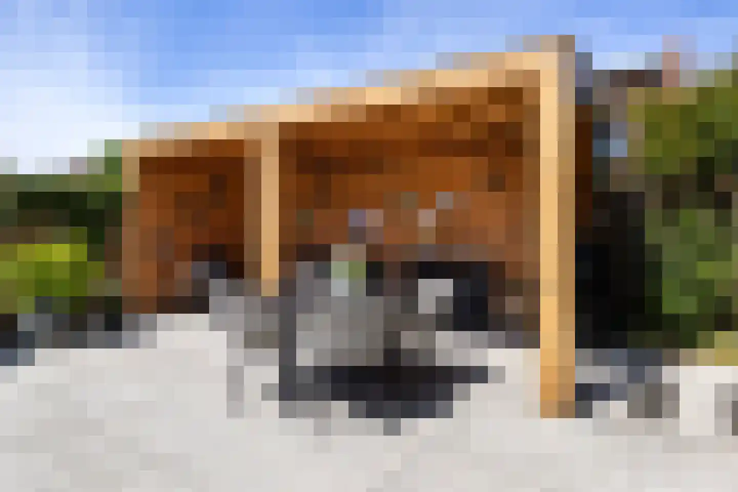 Agnes Bartoutslaan 55 Hendrik-Ido-Ambacht thumbnail 49