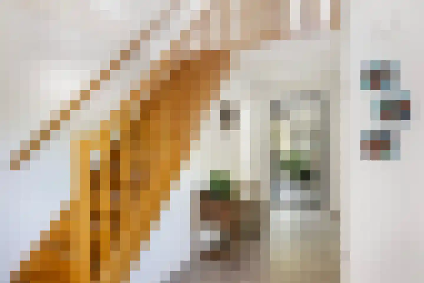 Agnes Bartoutslaan 55 Hendrik-Ido-Ambacht thumbnail 6