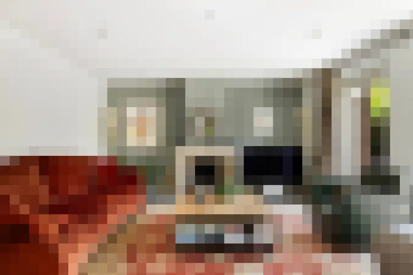 Agnes Bartoutslaan 55 Hendrik-Ido-Ambacht thumbnail 7