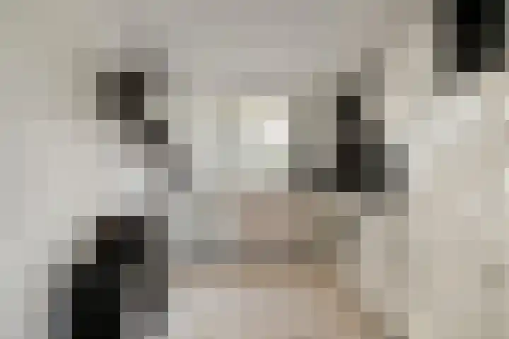 Agnes Bartoutslaan 58 Hendrik-Ido-Ambacht thumbnail 11