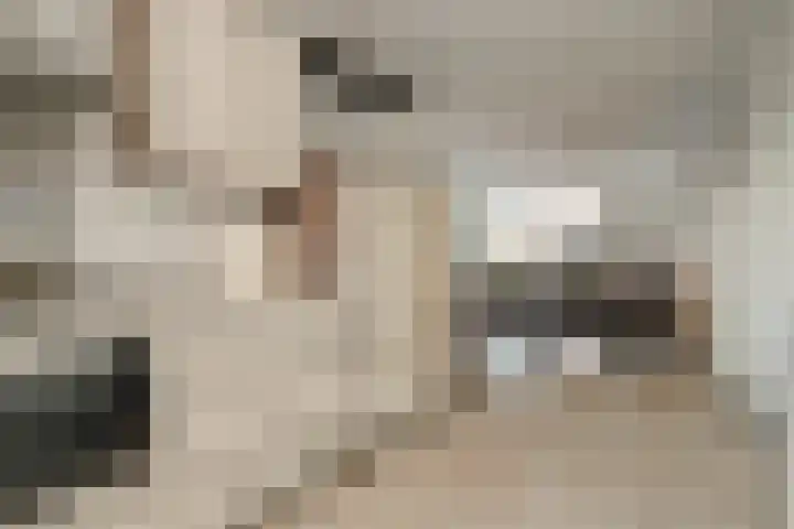 Agnes Bartoutslaan 58 Hendrik-Ido-Ambacht thumbnail 12