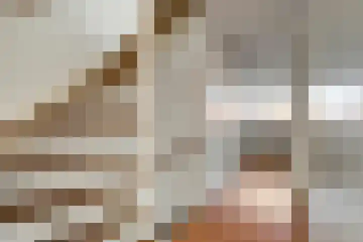Agnes Bartoutslaan 58 Hendrik-Ido-Ambacht thumbnail 13