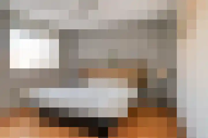Agnes Bartoutslaan 58 Hendrik-Ido-Ambacht thumbnail 15