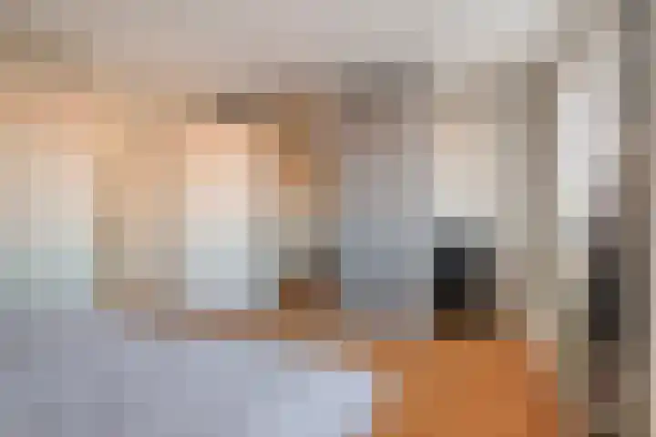 Agnes Bartoutslaan 58 Hendrik-Ido-Ambacht thumbnail 16