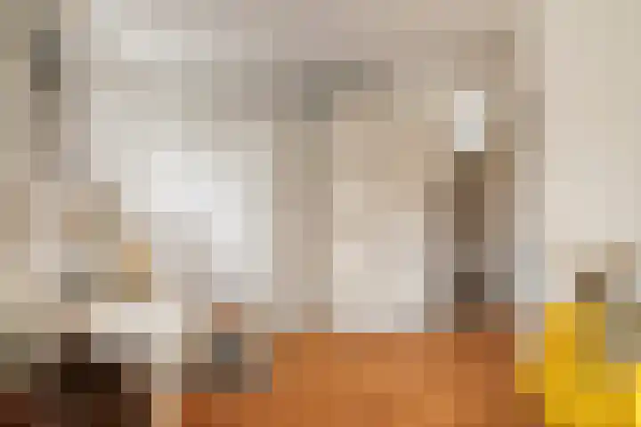 Agnes Bartoutslaan 58 Hendrik-Ido-Ambacht thumbnail 20