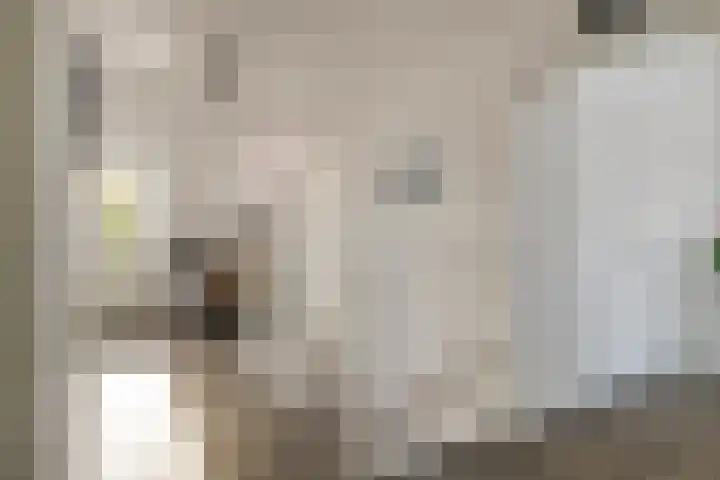 Agnes Bartoutslaan 58 Hendrik-Ido-Ambacht thumbnail 21
