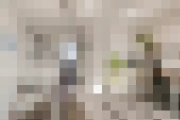 Agnes Bartoutslaan 58 Hendrik-Ido-Ambacht thumbnail 23