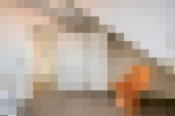 Agnes Bartoutslaan 58 Hendrik-Ido-Ambacht thumbnail 27