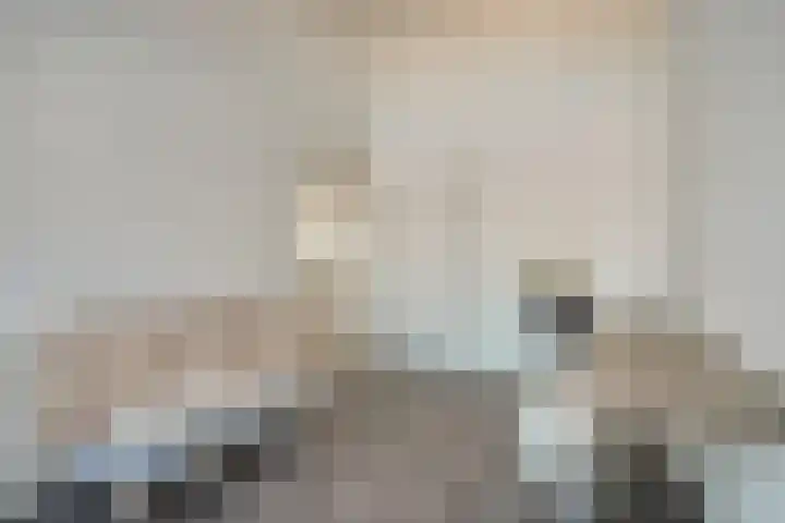 Agnes Bartoutslaan 58 Hendrik-Ido-Ambacht thumbnail 30