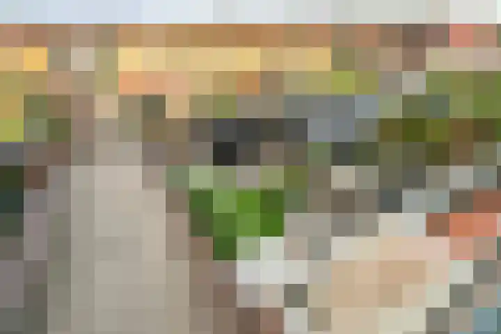 Agnes Bartoutslaan 58 Hendrik-Ido-Ambacht thumbnail 31