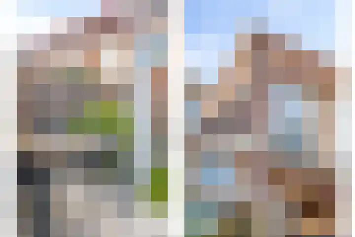 Agnes Bartoutslaan 58 Hendrik-Ido-Ambacht thumbnail 32