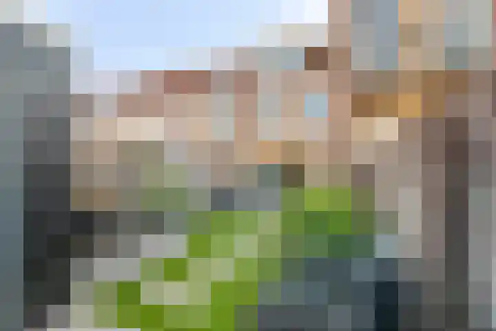Agnes Bartoutslaan 58 Hendrik-Ido-Ambacht thumbnail 35
