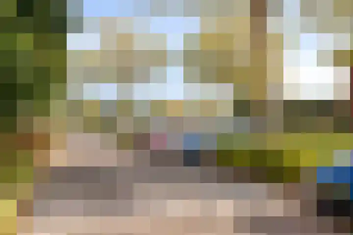 Agnes Bartoutslaan 58 Hendrik-Ido-Ambacht thumbnail 38