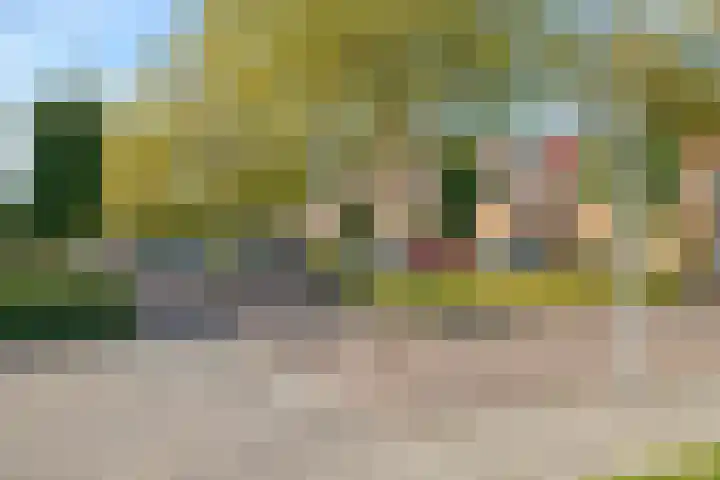 Agnes Bartoutslaan 58 Hendrik-Ido-Ambacht thumbnail 39