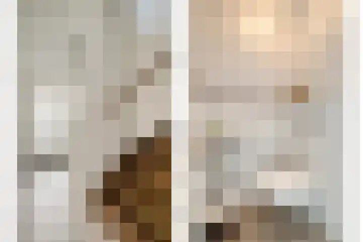 Agnes Bartoutslaan 58 Hendrik-Ido-Ambacht thumbnail 4