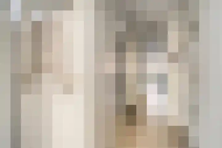 Agnes Bartoutslaan 58 Hendrik-Ido-Ambacht thumbnail 5