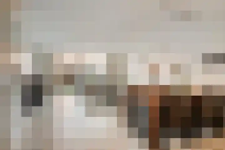 Agnes Bartoutslaan 58 Hendrik-Ido-Ambacht thumbnail 6