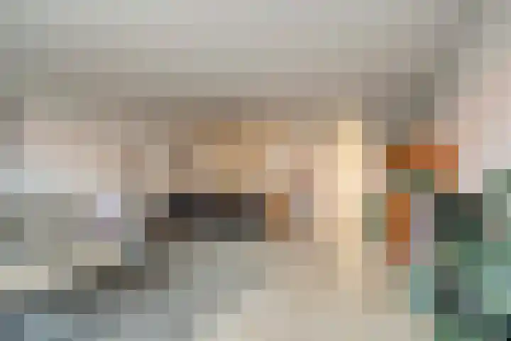 Agnes Bartoutslaan 58 Hendrik-Ido-Ambacht thumbnail 7