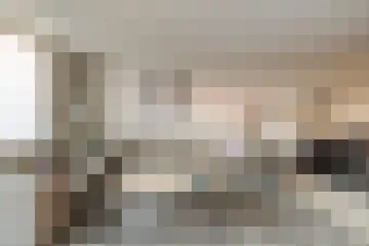 Agnes Bartoutslaan 58 Hendrik-Ido-Ambacht thumbnail 8