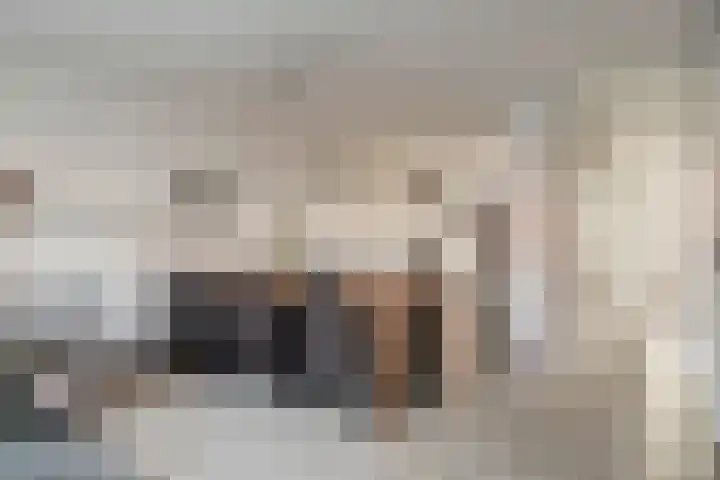 Agnes Bartoutslaan 58 Hendrik-Ido-Ambacht thumbnail 9