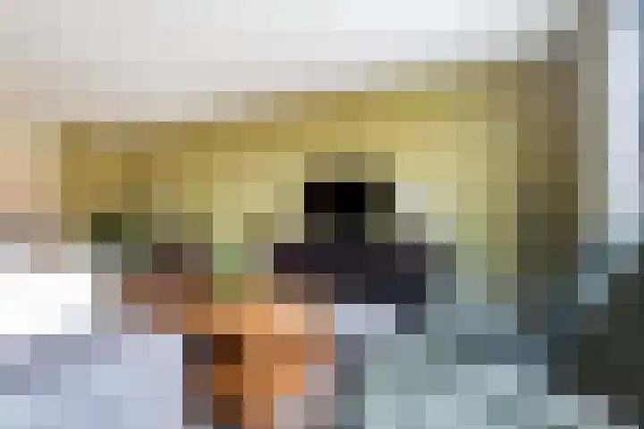 Agnes Bartoutslaan 66 Hendrik-Ido-Ambacht thumbnail 13