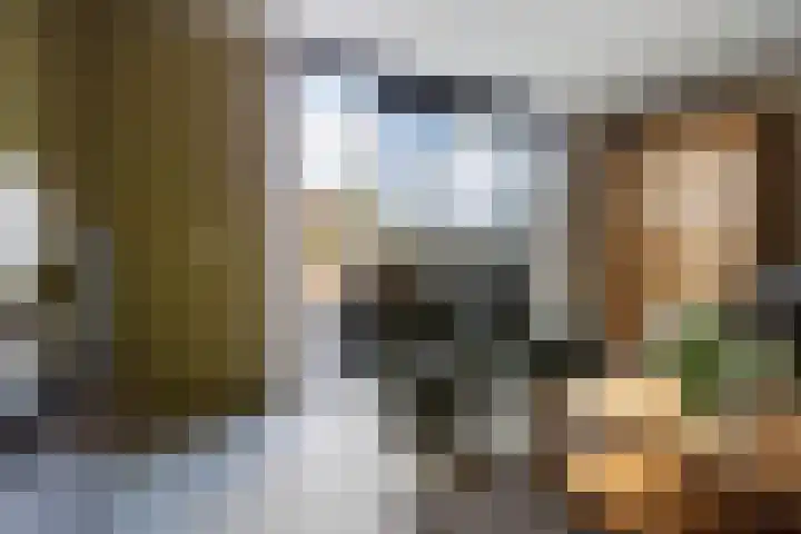 Agnes Bartoutslaan 66 Hendrik-Ido-Ambacht thumbnail 14