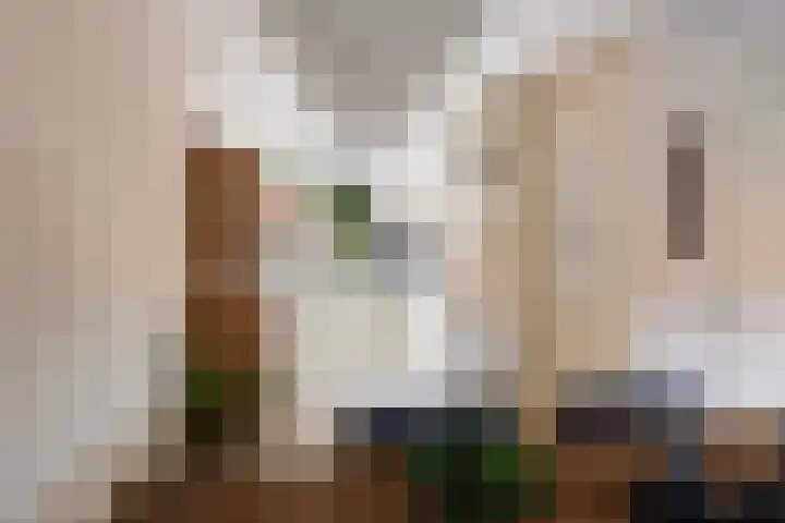 Agnes Bartoutslaan 66 Hendrik-Ido-Ambacht thumbnail 15