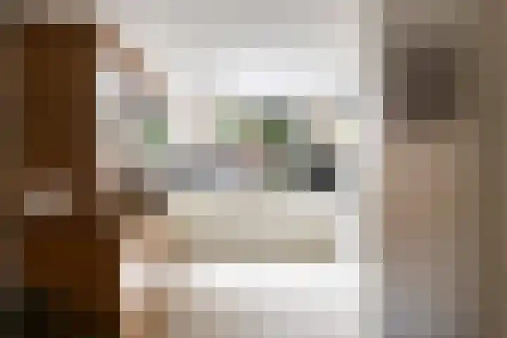Agnes Bartoutslaan 66 Hendrik-Ido-Ambacht thumbnail 16