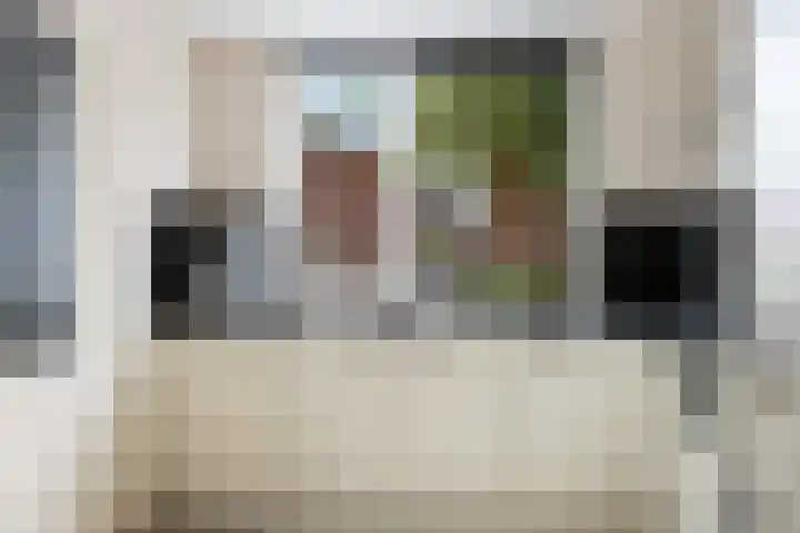 Agnes Bartoutslaan 66 Hendrik-Ido-Ambacht thumbnail 18