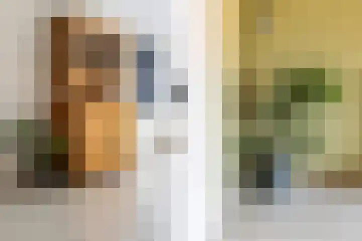 Agnes Bartoutslaan 66 Hendrik-Ido-Ambacht thumbnail 20