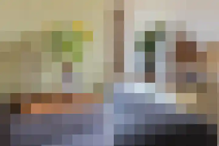 Agnes Bartoutslaan 66 Hendrik-Ido-Ambacht thumbnail 21