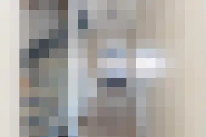 Agnes Bartoutslaan 66 Hendrik-Ido-Ambacht thumbnail 22