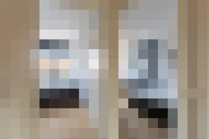 Agnes Bartoutslaan 66 Hendrik-Ido-Ambacht thumbnail 23