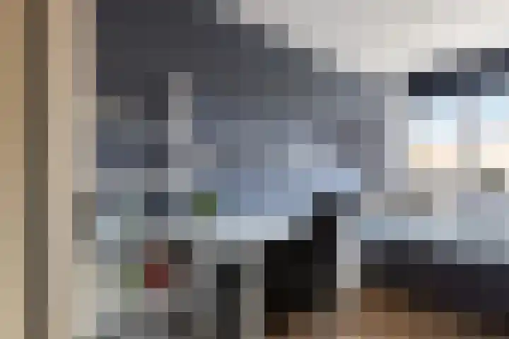 Agnes Bartoutslaan 66 Hendrik-Ido-Ambacht thumbnail 25