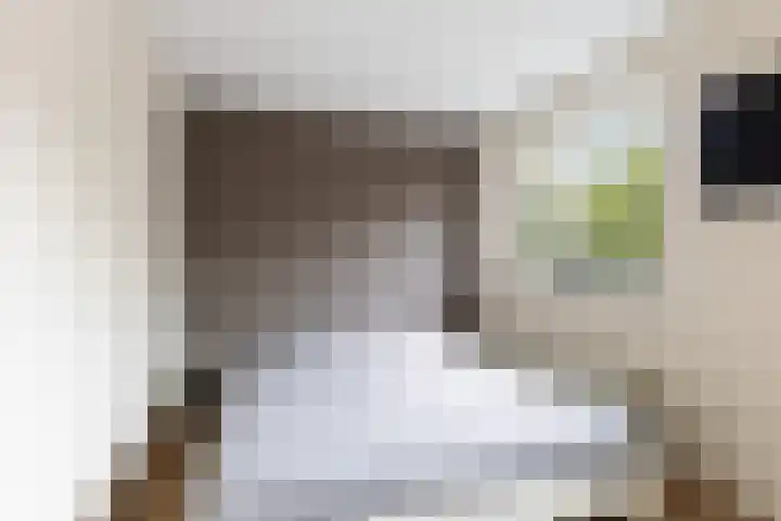 Agnes Bartoutslaan 66 Hendrik-Ido-Ambacht thumbnail 29